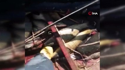 - Burdur'un Gölhisar Gölü’nde ağa, rekor büyüklükte yayın balığı takıldı