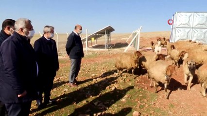 Tahmazoğlu, hayvancılık için açılan su kuyularını inceledi