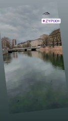 Μαρία Ηλιάκη: Αυτό είναι το 24ωρο της εγκυμονούσας στη Ζυρίχη! (3)