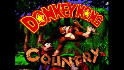 Donkey Kong Country - Anti Piracy Screen (SNES)