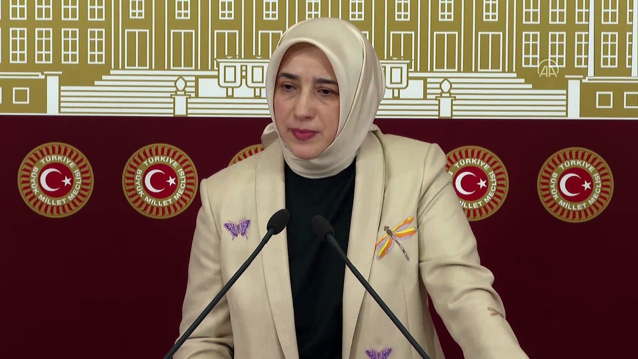 TBMM - AK Parti Grup Başkanvekili Özlem Zengin, basın toplantısı düzenledi (2)