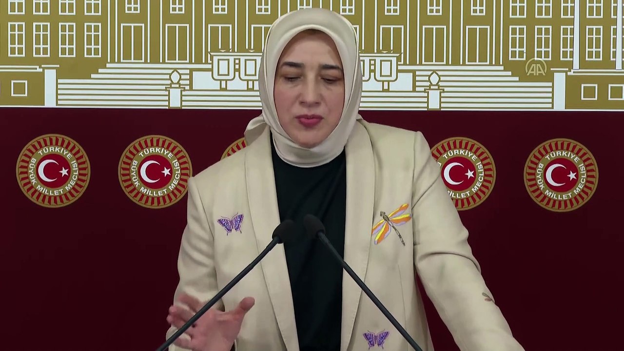 TBMM - AK Parti Grup Başkanvekili Özlem Zengin, basın toplantısı düzenledi (4)
