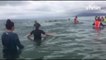 Nouvelle-Zélande : les dauphins-pilotes remis à flot mais pas encore sauvés