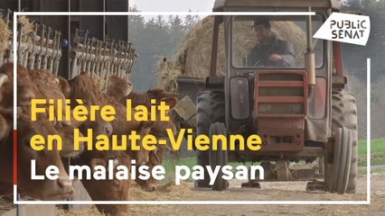 Haute Vienne : colère et détresse des agriculteurs