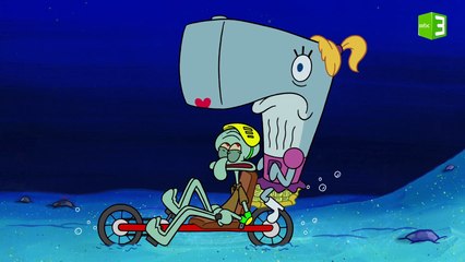 فكرة شفيق لإنقاذ لؤلؤة