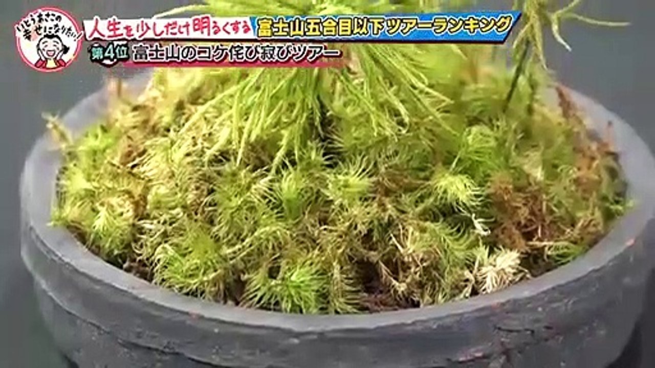 いとうあさこの幸せになりたい！～人生を少しだけ明るくするランキング～ 2021年2月23日 富...