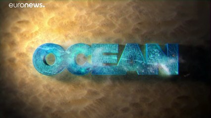 Как рыбаки спасают Адриатику от перелова?