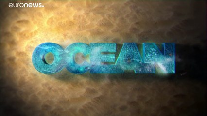 La strategia vincente della pesca nella Fossa di Pomo