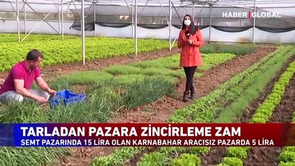 Tarladan pazara zincirleme zam! Kıvırcık serada 75 kuruş, pazarda 6 lira