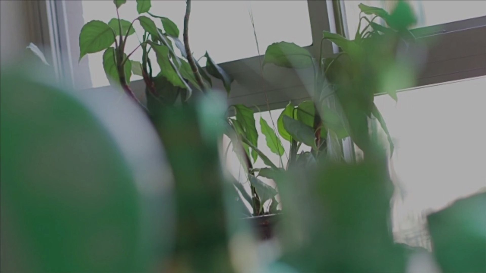 ⁣The Best Instagram Captions to Celebrate St. Patrick’s Day