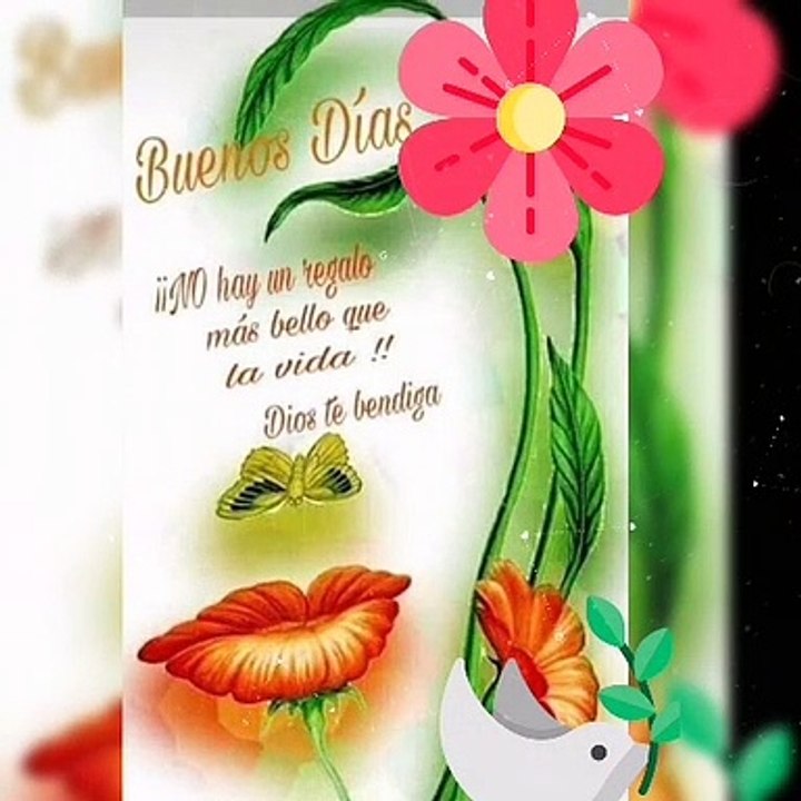 Feliz Miércoles 