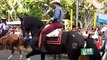 Matagalpa celebra 159 años de ser ciudad con alegre desfile hípico