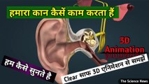 हमारा कान कैसे काम करता हैं | How does our ear work | कान | ear | how does work | the science news