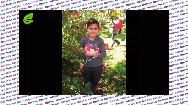 Soluciones del Trece - Jueves 25 de febrero del 2021