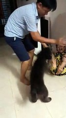 Puppy Protects Boy From Pretending Father
