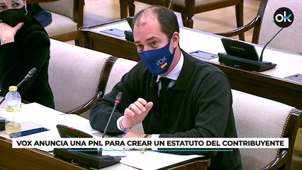 VOX anuncia una PNL para crear un Estatuto del Contribuyente