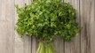 The Best Way to Dry Fresh Herbs