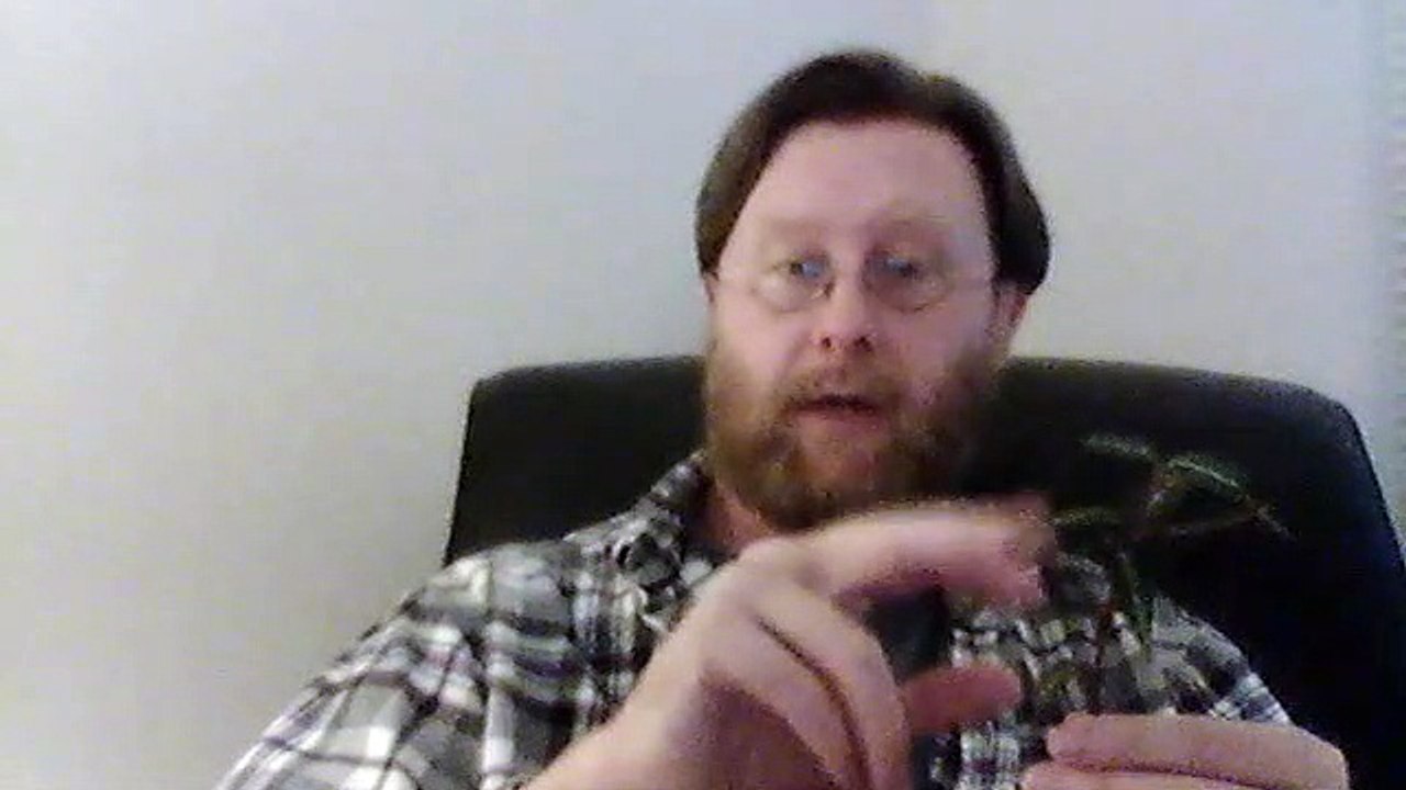 Lesson 6: Harvesting Winter Herbs, Spotted Wintergreen