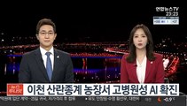 이천 산란종계 농장서 고병원성 AI 확진