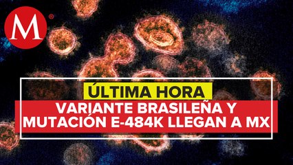 InDRE confirma casos de mutación E 484K y variante brasileña del covid 19 en México