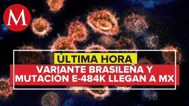 InDRE confirma casos de mutación E 484K y variante brasileña del covid 19 en México