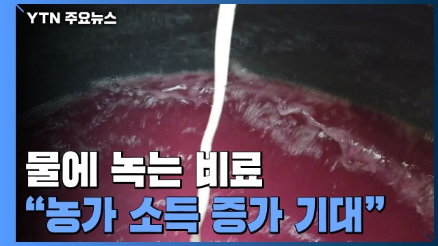 '물에 녹는' 비료...소득 높이고 가격 안정도 기여 / YTN