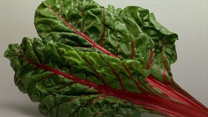 Everything You Need To Know About Swiss Chard