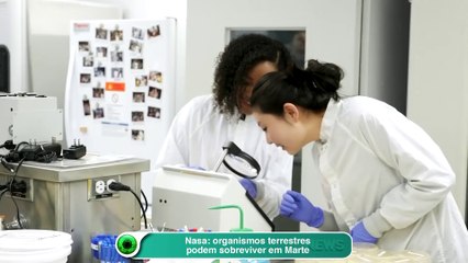 Nasa organismos terrestres podem sobreviver em Marte