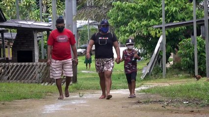 204 casos de variantes do coronavírus no Brasil