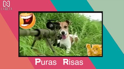 Los videos más divertidos de KWAI 2021