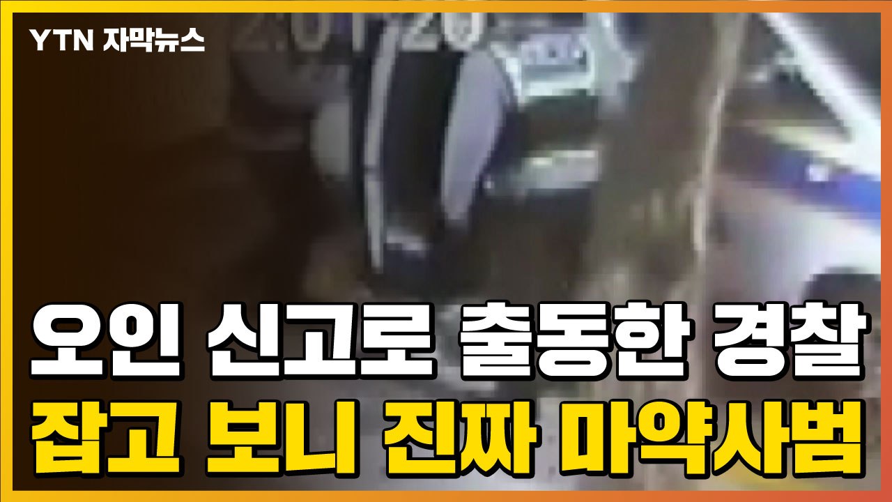 [자막뉴스] 오인 신고로 출동한 경찰, 신원 조회해보니 '충격' / YTN