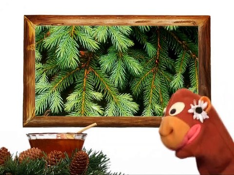 Baby Einstein - Wild Animal Safari - Jane's Wild Animal Friends (2010)