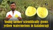 Farmer scientifically grows yellow watermelons in Kalaburagi