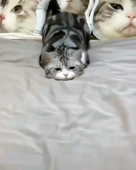 so cute