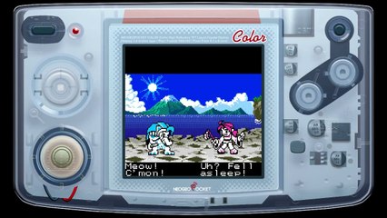 SNK vs. Capcom : Match of the Millennium - Felicia vs. Akari