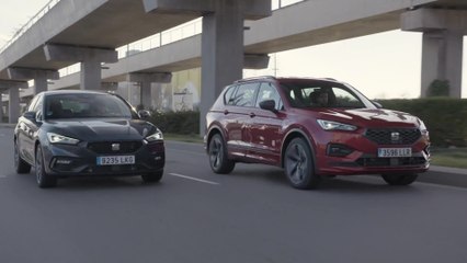 SEAT’s hybrids together for the first time