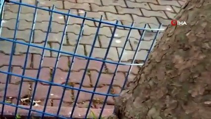 'Genç kız darp edildi' iddiası vatandaşları alarma geçirdi