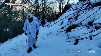 Eren-11 Sehi Ormanları Operasyonu başladı