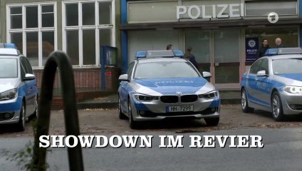 Großstadtrevier - 387. Showdown im Revier