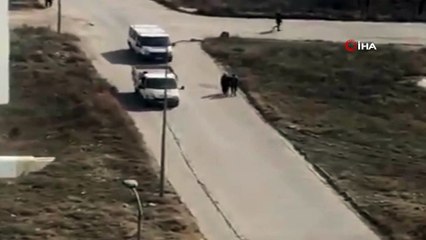 Hurdacının ‘korona virüs’ türküsü sosyal medyada ilgi gördü