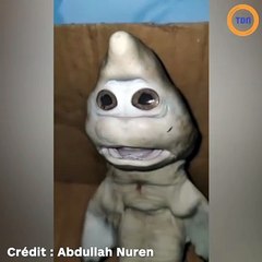 Ce requin a une tête tout droit sortie d'un dessin animé