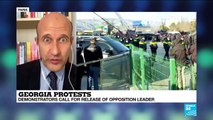 Georgian police detain opposition leader as political crisis deepens