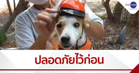น่ารัก “ชอปเปอร์” หมาใส่หมวกกันน็อก