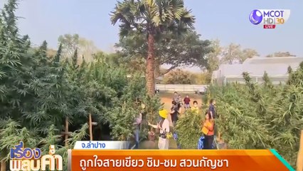 เรื่องพลบค่ำ ช่วงที่ 1 วันพุธที่ 24 กุมภาพันธ์ 2564