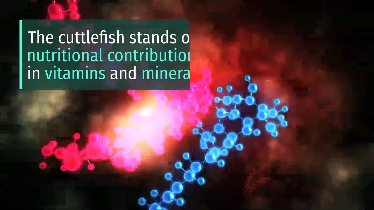 8 Health Benefits of Cuttlefish