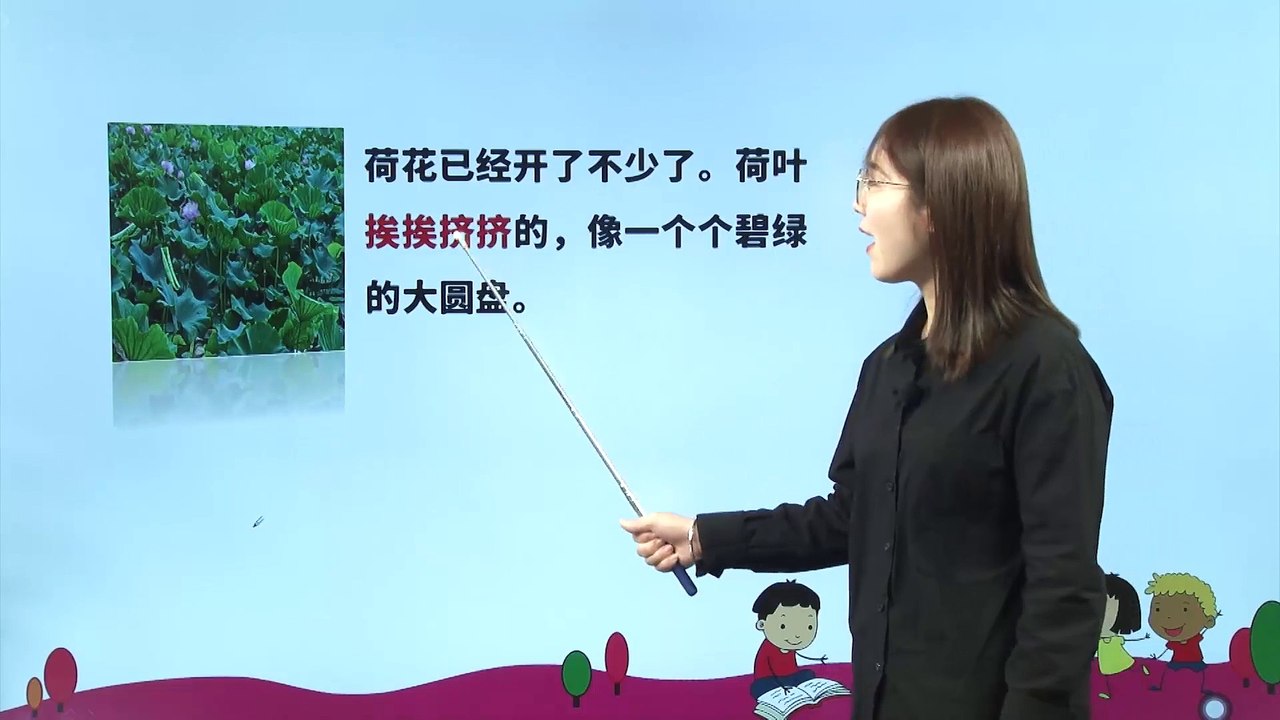 3、荷花|小学语文课文|三年级下
