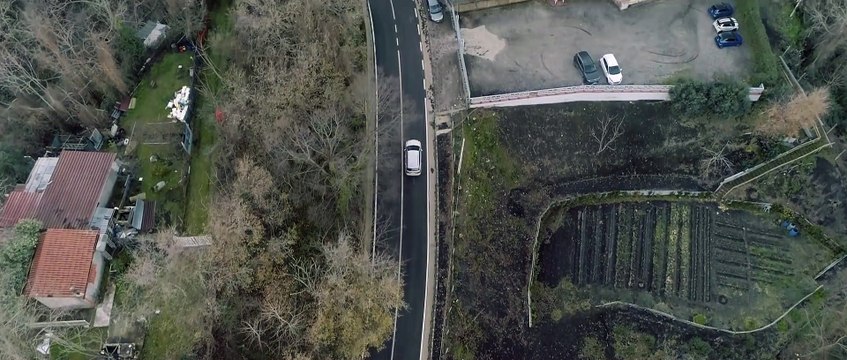 Emiliana Cantone - Sto perdenno 'o core -