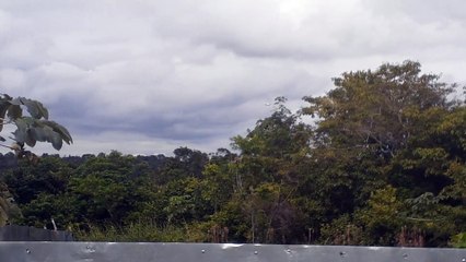 Boeing 777-300ER PT-MUF na aproximação final antes de pousar em Manaus vindo de Guarulhos