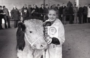 Friesian bull takes top price at RUAS Spring Show at Balmoral (1982)