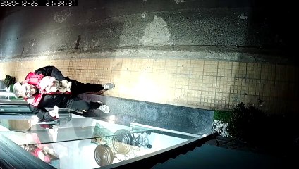 Glass Door Broken By Man Chasing His Dog